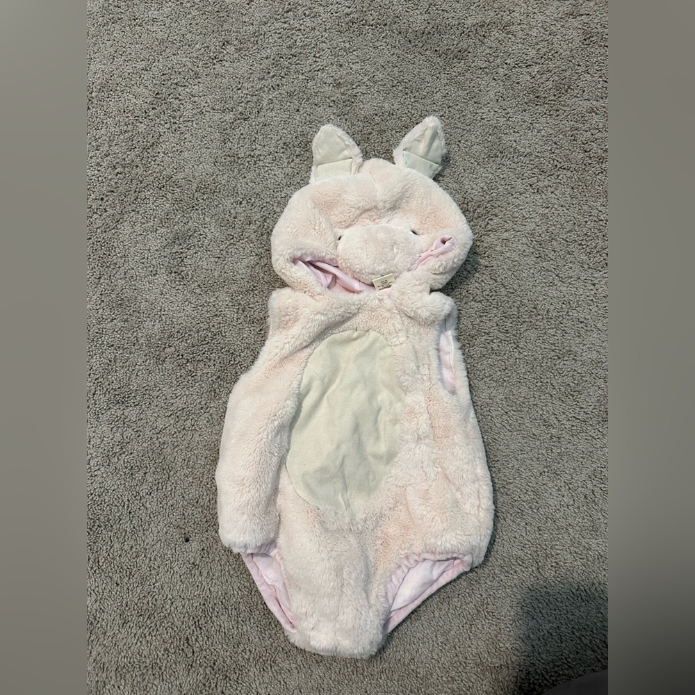 Pottery Barn Kids Soft Pink Pig Outfit